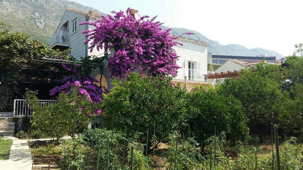 哈撒诺维克公寓式酒店 Mokošica 外观 照片