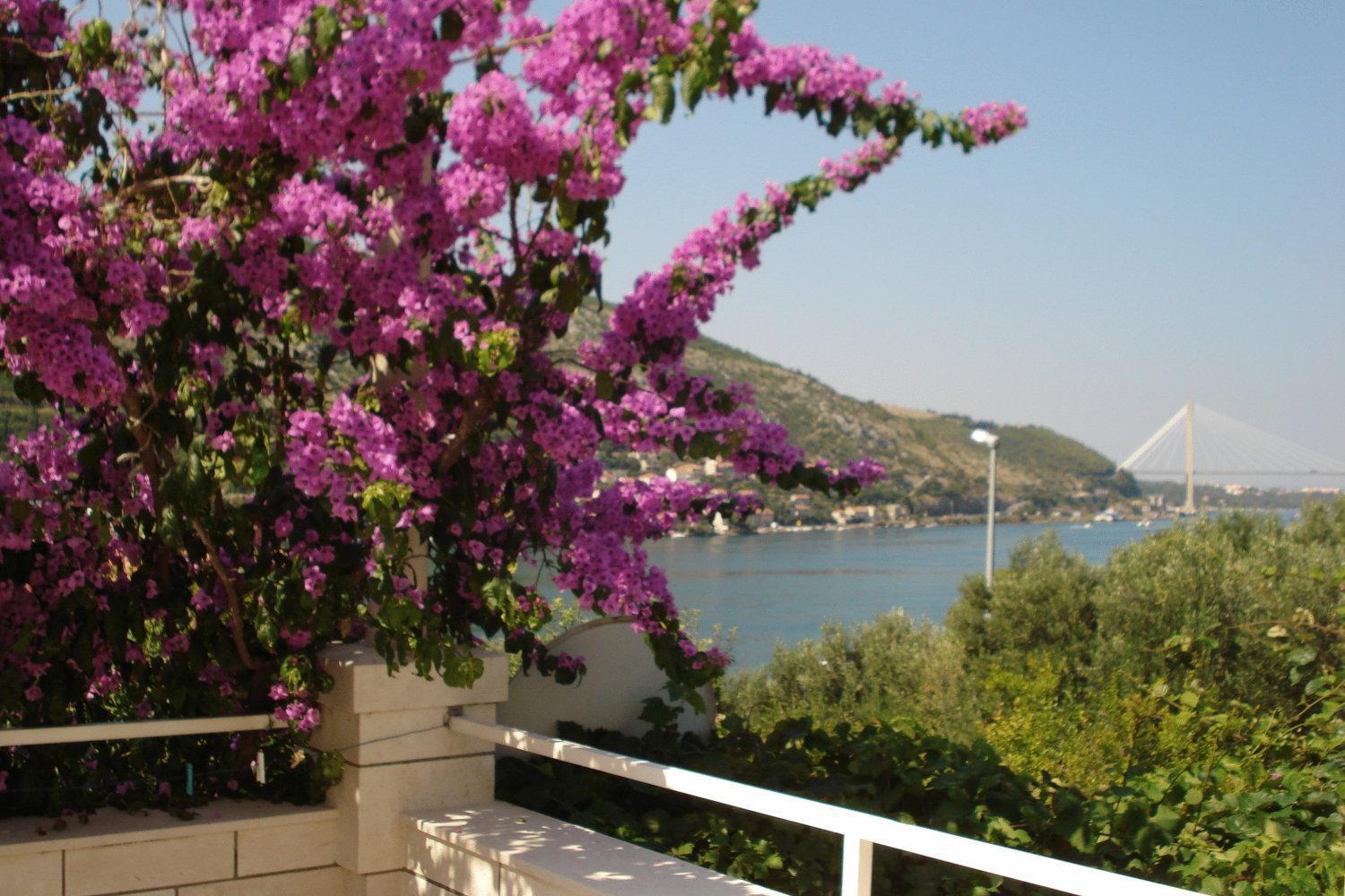 哈撒诺维克公寓式酒店 Mokošica 外观 照片