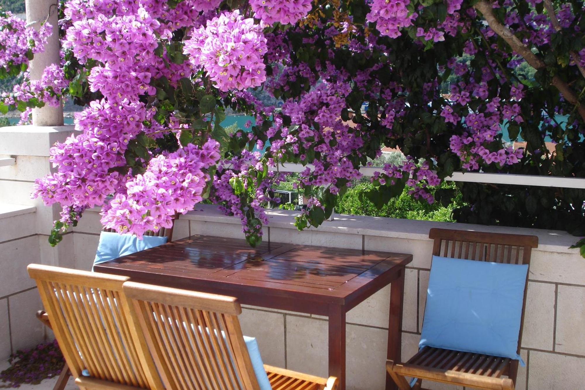 哈撒诺维克公寓式酒店 Mokošica 外观 照片