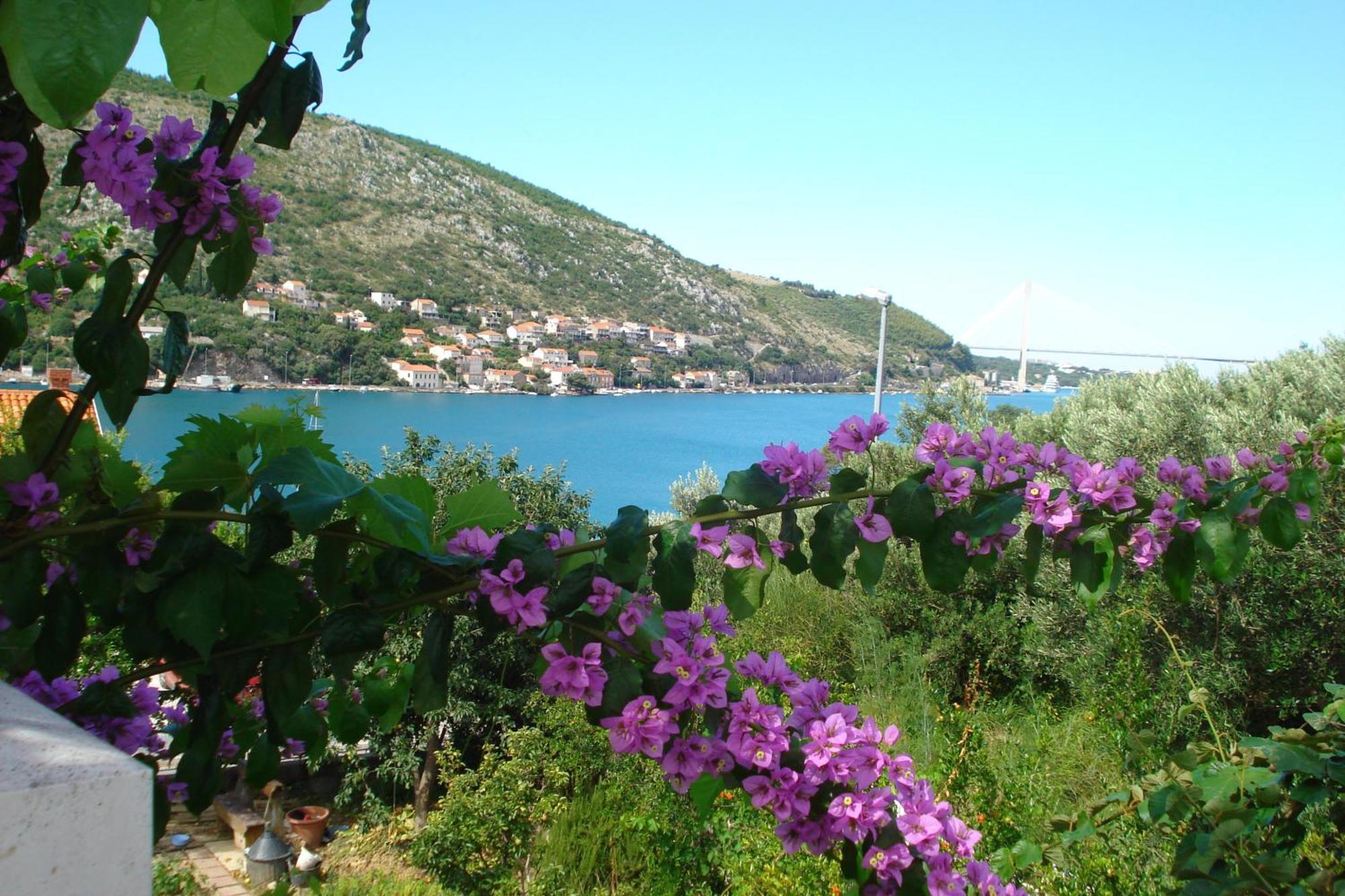 哈撒诺维克公寓式酒店 Mokošica 外观 照片