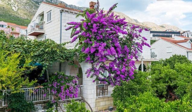 哈撒诺维克公寓式酒店 Mokošica 客房 照片